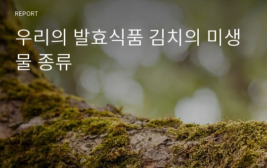 우리의 발효식품 김치의 미생물 종류