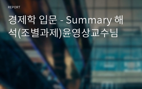경제학 입문 - Summary 해석(조별과제)윤영상교수님