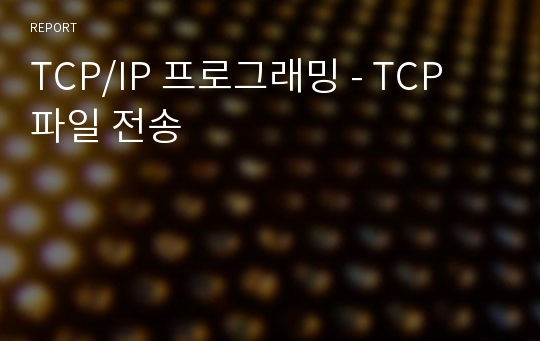 TCP/IP 프로그래밍 - TCP 파일 전송