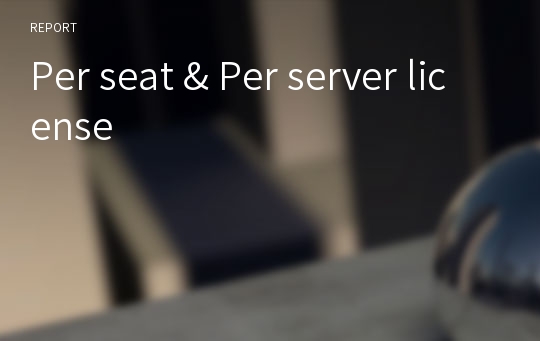 Per seat &amp; Per server license