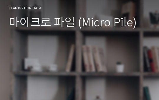 마이크로 파일 (Micro Pile)