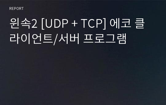 윈속2 [UDP + TCP] 에코 클라이언트/서버 프로그램