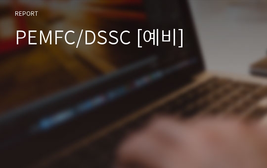 PEMFC/DSSC [예비]