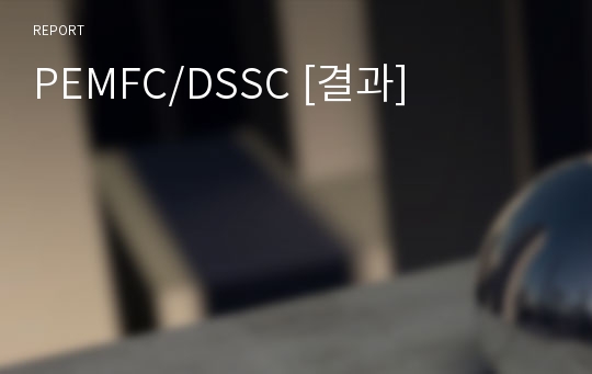 PEMFC/DSSC [결과]