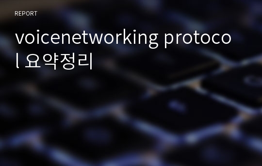voicenetworking protocol 요약정리