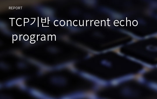 TCP기반 concurrent echo program