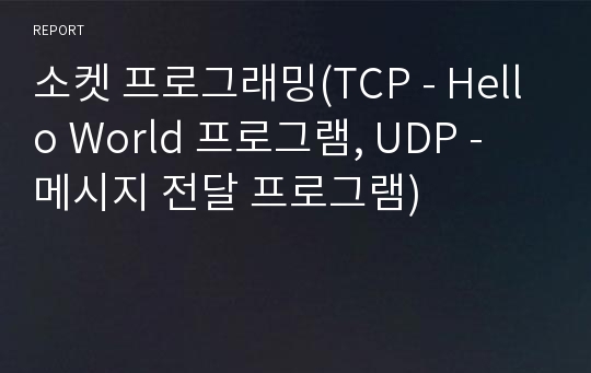 소켓 프로그래밍(TCP - Hello World 프로그램, UDP - 메시지 전달 프로그램)