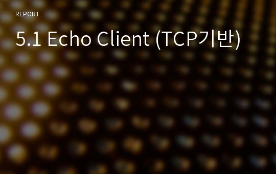 5.1 Echo Client (TCP기반)