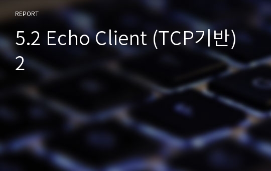5.2 Echo Client (TCP기반)2