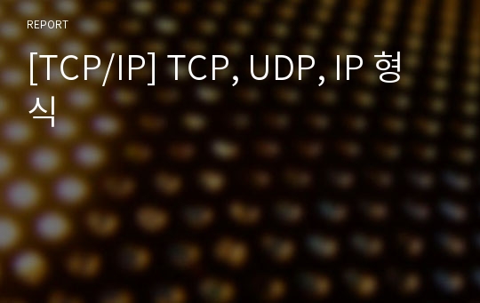 [TCP/IP] TCP, UDP, IP 형식