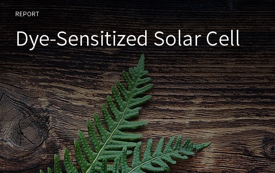 Dye-Sensitized Solar Cell