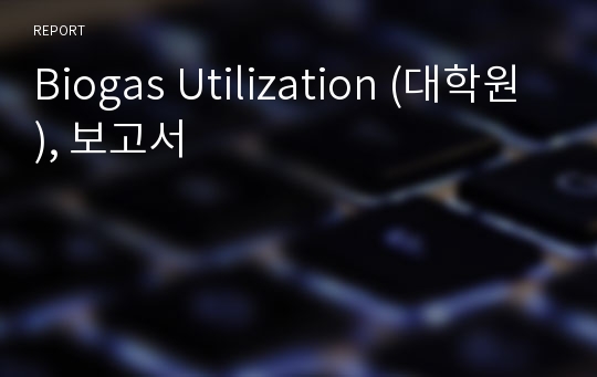 Biogas Utilization (대학원), 보고서