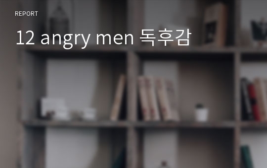 12 angry men 독후감