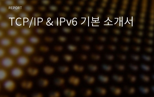 TCP/IP &amp; IPv6 기본 소개서