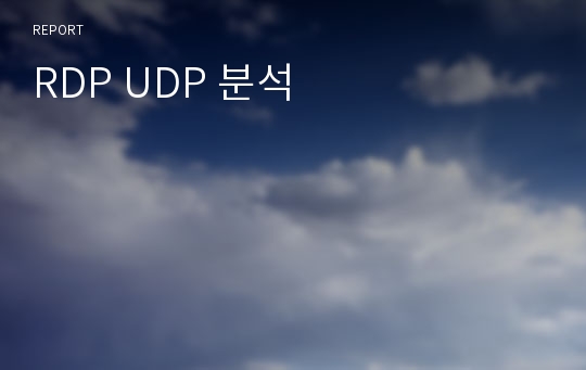 RDP UDP 분석