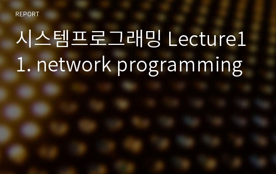 시스템프로그래밍 Lecture11. network programming