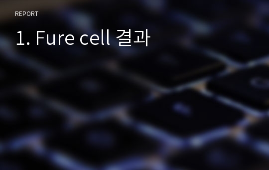 1. Fuel cell 결과