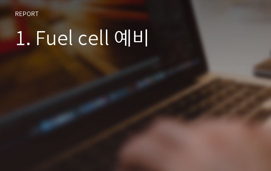 1. Fuel cell 예비