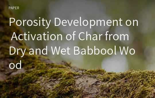 Porosity Development on Activation of Char from Dry and Wet Babbool Wood