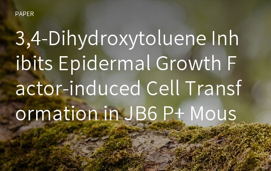 3,4-Dihydroxytoluene Inhibits Epidermal Growth Factor-induced Cell Transformation in JB6 P+ Mouse Epidermal Cells by Suppressing Raf-1
