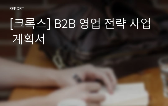 [크록스] B2B 영업 전략 사업 계획서