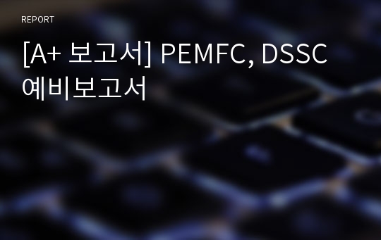 [A+ 보고서] PEMFC, DSSC 예비보고서
