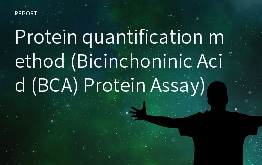 [A+레포트]BCA 단백질 정량법 Protein quantification method (Bicinchoninic Acid Protein Assay)