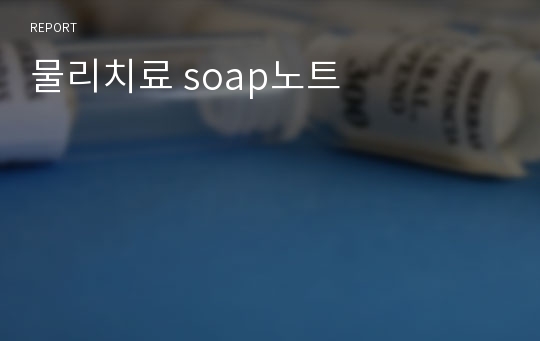 물리치료 soap노트,soap note