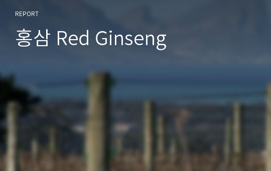 홍삼 Red Ginseng