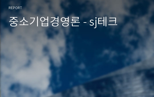 중소기업경영론 - sj테크