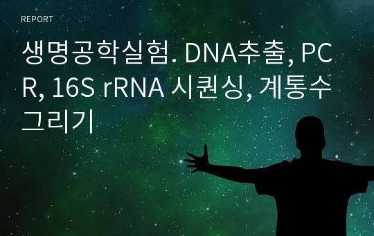 생명공학실험. DNA추출, PCR, 16S rRNA 시퀀싱, 계통수그리기