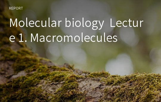 Molecular biology  Lecture 1. Macromolecules