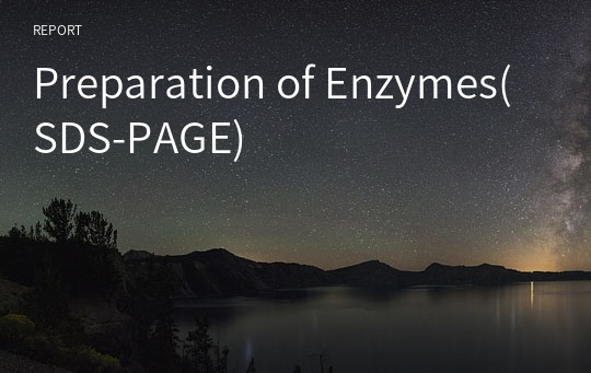 Preparation of Enzymes(SDS-PAGE)