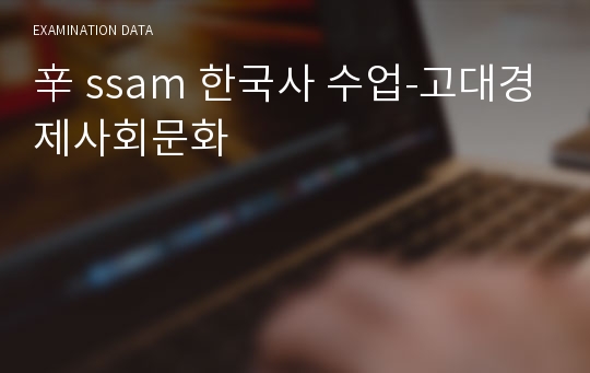 辛 ssam 한국사 수업-고대경제사회문화