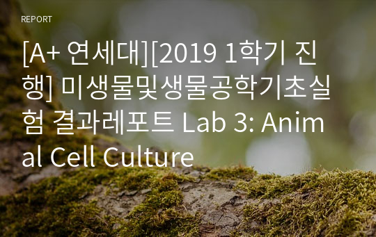[A+ 연세대][2019 1학기 진행] 미생물및생물공학기초실험 결과레포트 Lab 3: Animal Cell Culture