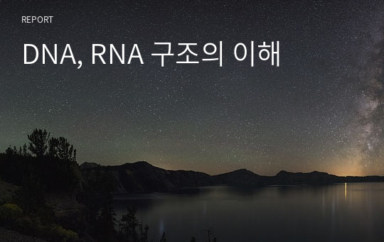 DNA, RNA 구조의 이해