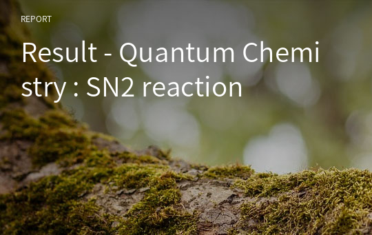 Result - Quantum Chemistry : SN2 reaction