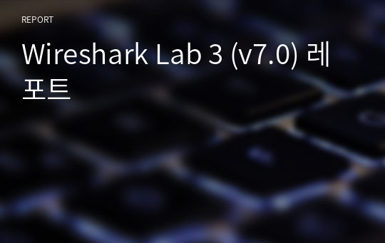 Wireshark Lab 3 (v7.0) 레포트