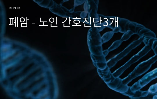 폐암 - 노인 간호진단3개