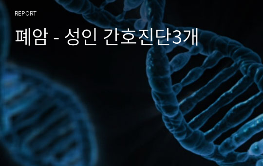 폐암 - 성인 간호진단3개