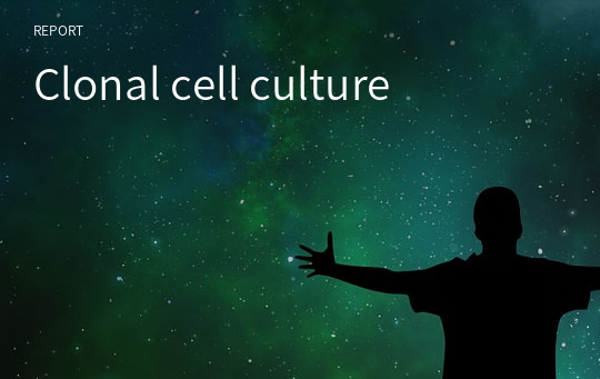 Clonal cell culture
