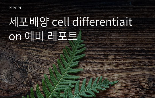 세포배양 cell differentiaiton 예비 레포트
