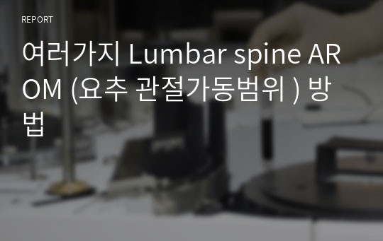 여러가지 Lumbar spine AROM (요추 관절가동범위 ) 방법