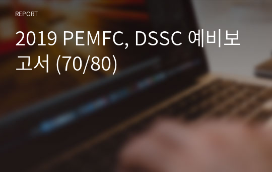 2019 PEMFC, DSSC 예비보고서 (70/80)