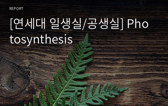 [연세대 일생실/공생실] Photosynthesis