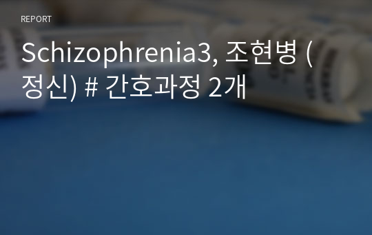 Schizophrenia3, 조현병 (정신) # 간호과정 2개