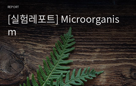 [실험레포트] Microorganism