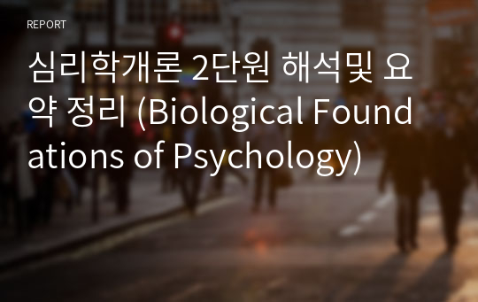 심리학개론 2단원 해석및 요약 정리 (Biological Foundations of Psychology)