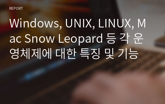 Windows, UNIX, LINUX, Mac Snow Leopard 등 각 운영체제에 대한 특징 및 기능
