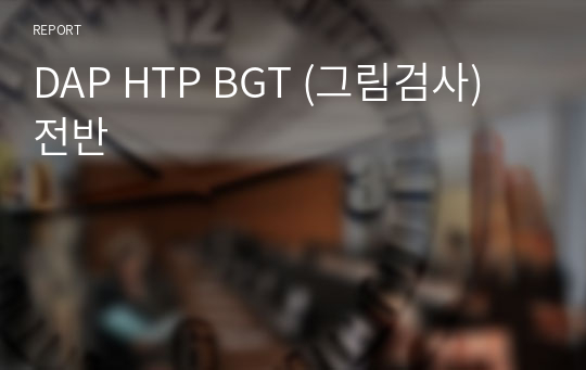 DAP HTP BGT (그림검사) 전반